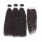 100% Remy Human Hair 3 Bundles With Closure 4x4 Lace Closure Nature Color - Kinky Curly