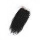 100% Remy Human Hair 3 Bundles With Closure 4x4 Lace Closure Nature Color - Kinky Curly