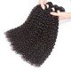 100% Remy Human Hair 3 Bundles With Closure 4x4 Lace Closure Nature Color - Kinky Curly