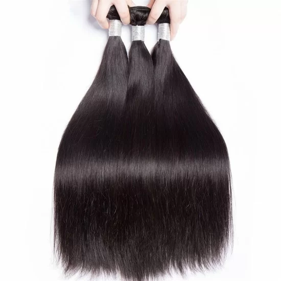 Brazilian Virgin Hair 3 Bundles With Lace Closure - Silky Straight
